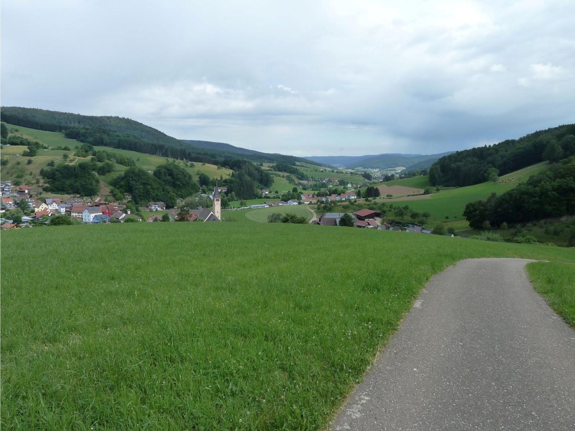Ferienwohnung Am Wald Doerlinbach Schuttertal Dış mekan fotoğraf